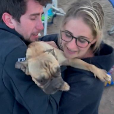 VIDEO: Utah couple reunites with lost dog after 4-day search 