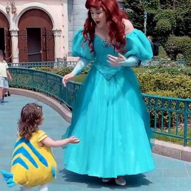 VIDEO: Toddler dressed as Flounder from 'The Little Mermaid' meets Ariel at Disneyland