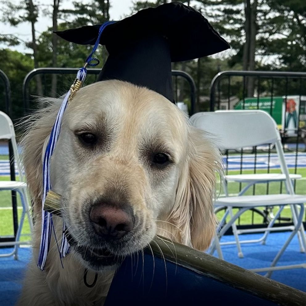 Therapy dog graduates with high school classmates - Good Morning ...