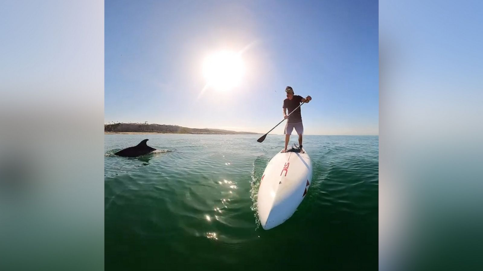 VIDEO: Paddleboarder has magical encounter with dolphin pod