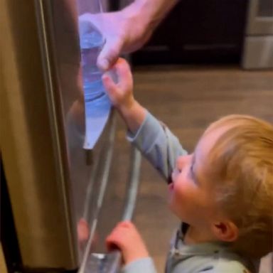 VIDEO: Toddler can't get over his fridge's water filter