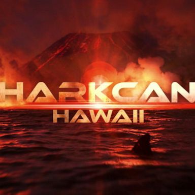 VIDEO: 1st look at NatGeo's 'Sharkano Hawaii'