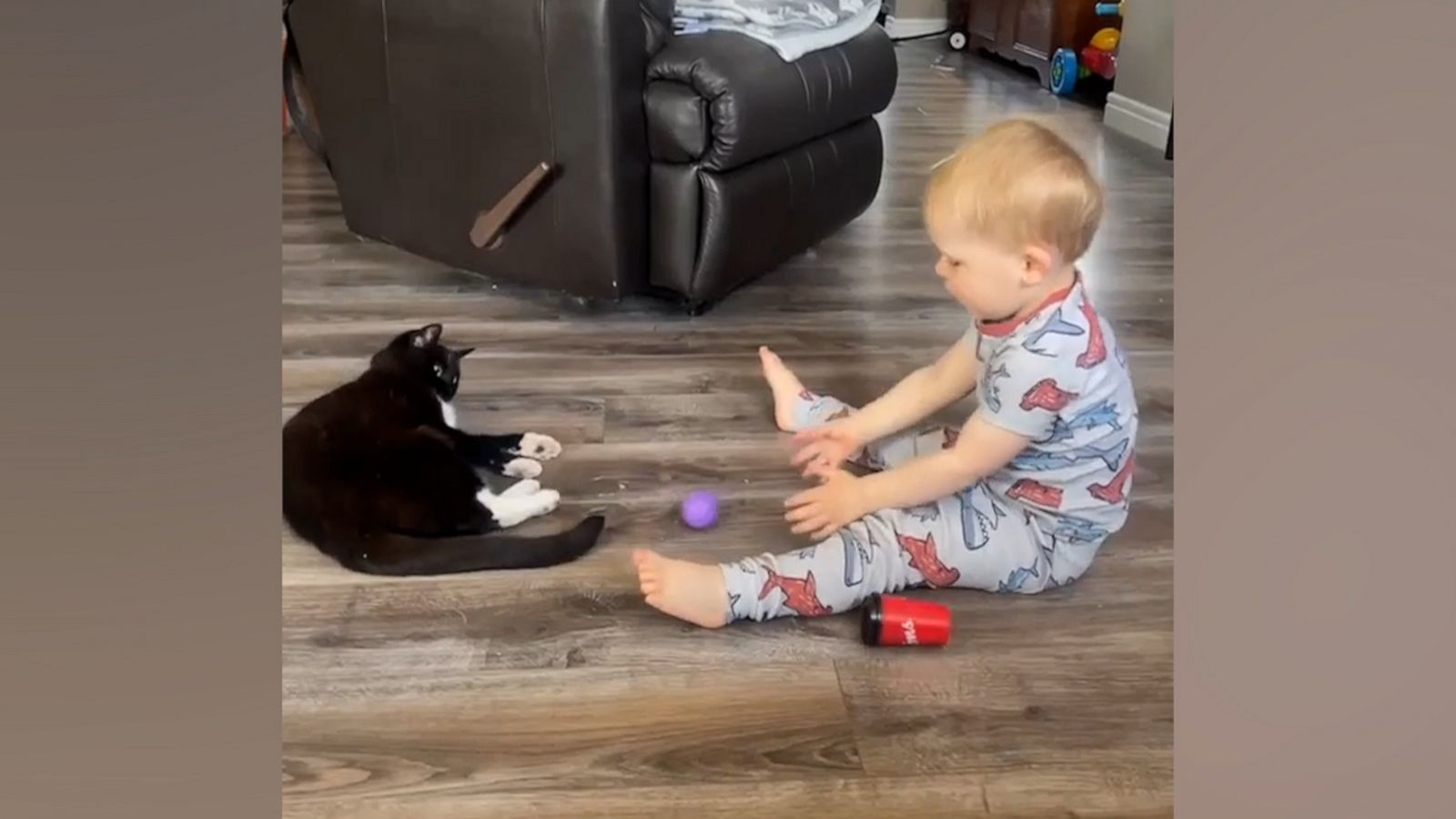 VIDEO: Toddler and cat play adorable game together