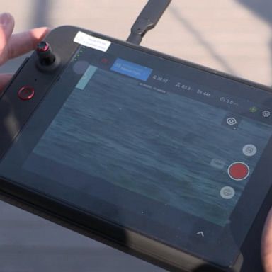 VIDEO: Coastal towns deploy new tech to keep beachgoers safe after shark sightings