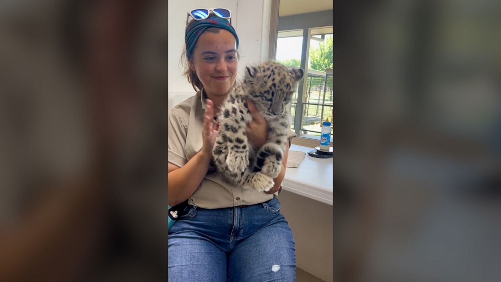 VIDEO: Watch this baby snow leopard get burped like a baby