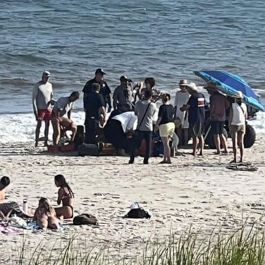 VIDEO: 4 suspected shark attacks in 2 days along New York beaches