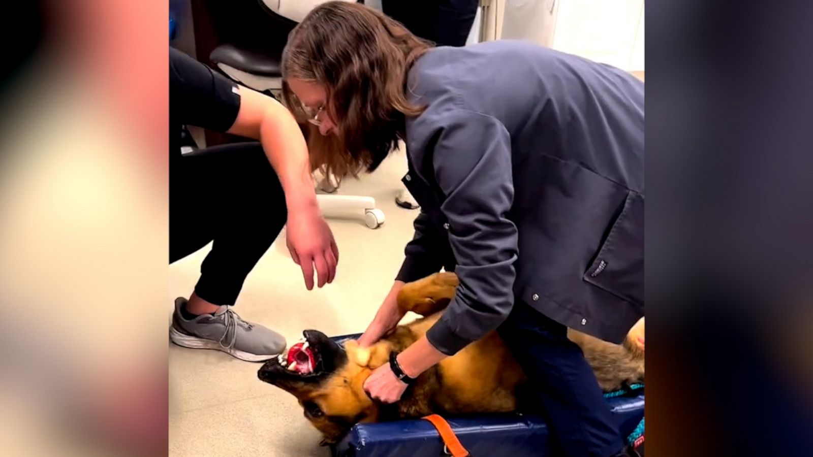 VIDEO: Veterinarian saves dog from choking on toy