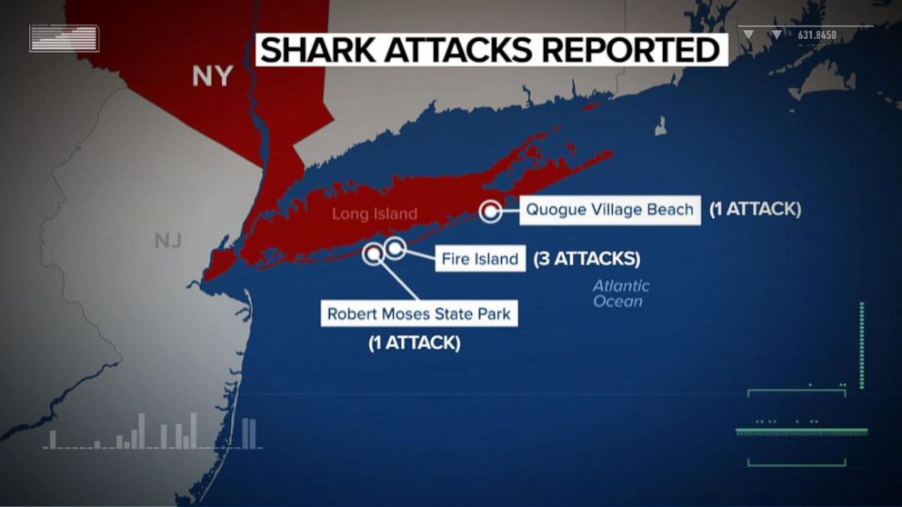 5th suspected shark attack in 2 days off New York coast Video - ABC News