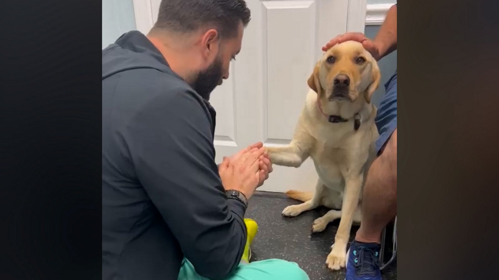 VIDEO: Video of injured dog learning to trust vet goes viral