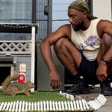 VIDEO: Content creator finds peace in friendship with neighborhood squirrels