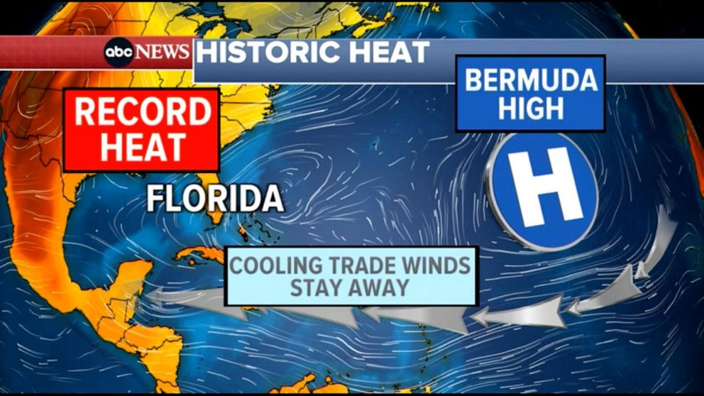 Marine Heat Waves And Its Effects On The Environment Gma 6294