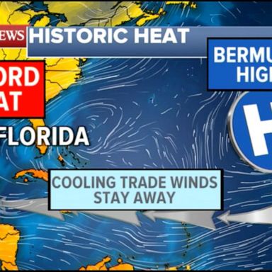 VIDEO: Marine heat waves and its effects on the environment