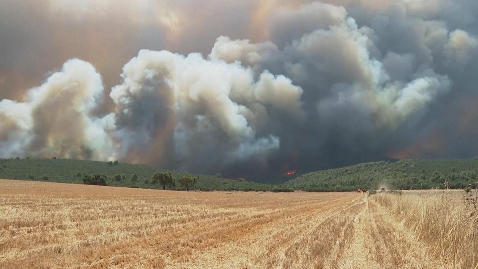 Greek wildfires prompt evacuations outside Athens Good Morning America