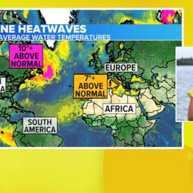 VIDEO: Extreme heat causes ocean temperatures to reach unprecedented levels