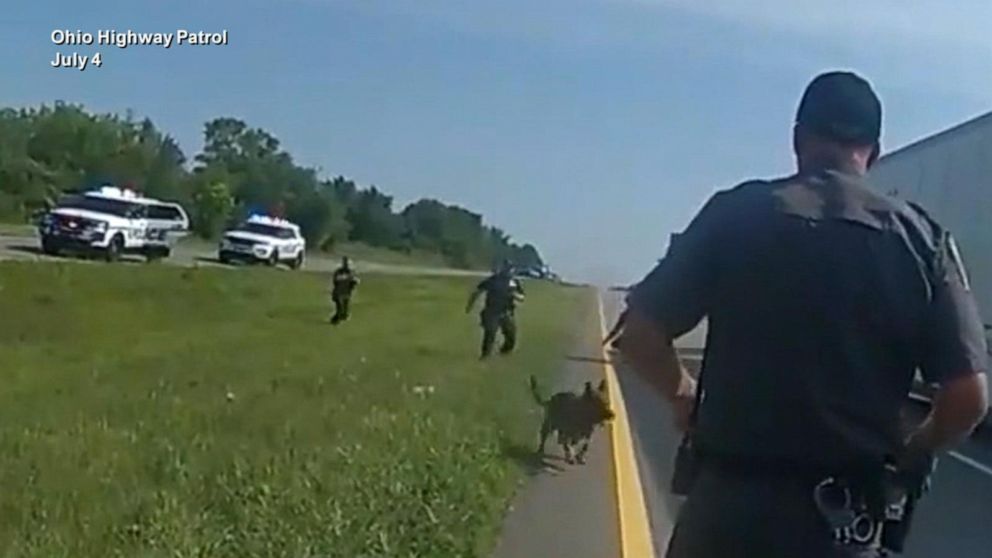Video Ohio officers order police dog to attack unarmed man - ABC News