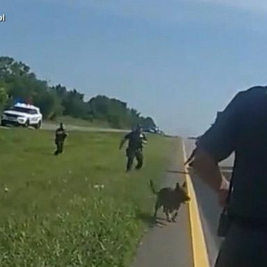 VIDEO: Ohio officers order police dog to attack unarmed man