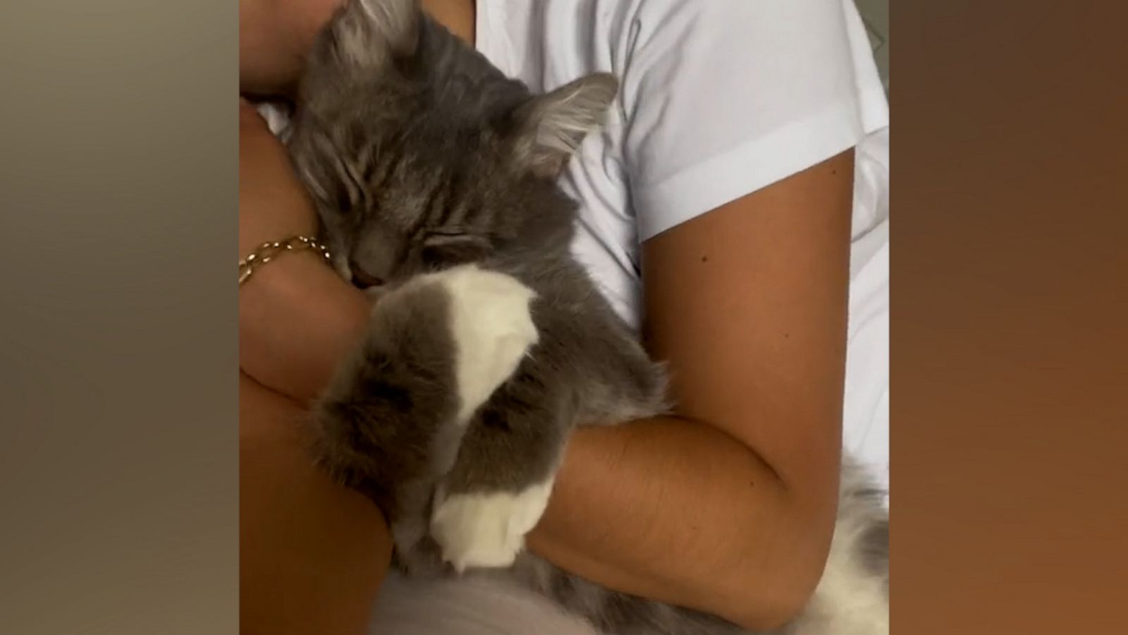 VIDEO: Woman documents the ‘soulmate’ relationship she has with her cat