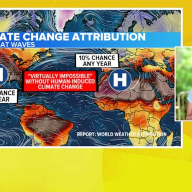 VIDEO: Global July heat waves virtually impossible without climate change: Study