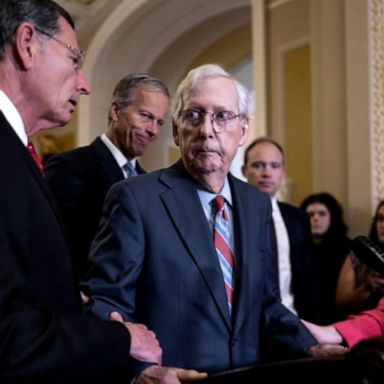 VIDEO: Mitch McConnell sparks health concerns after freezing at press conference