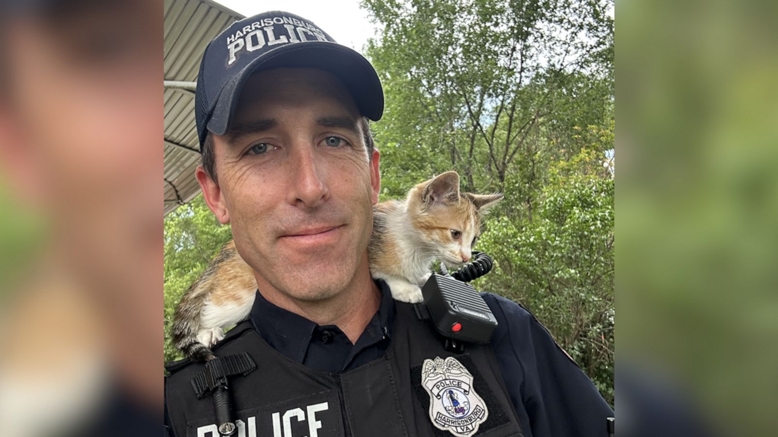 VIDEO: Police officer adopts kitten 'thrown from window' who clung to his shoulders