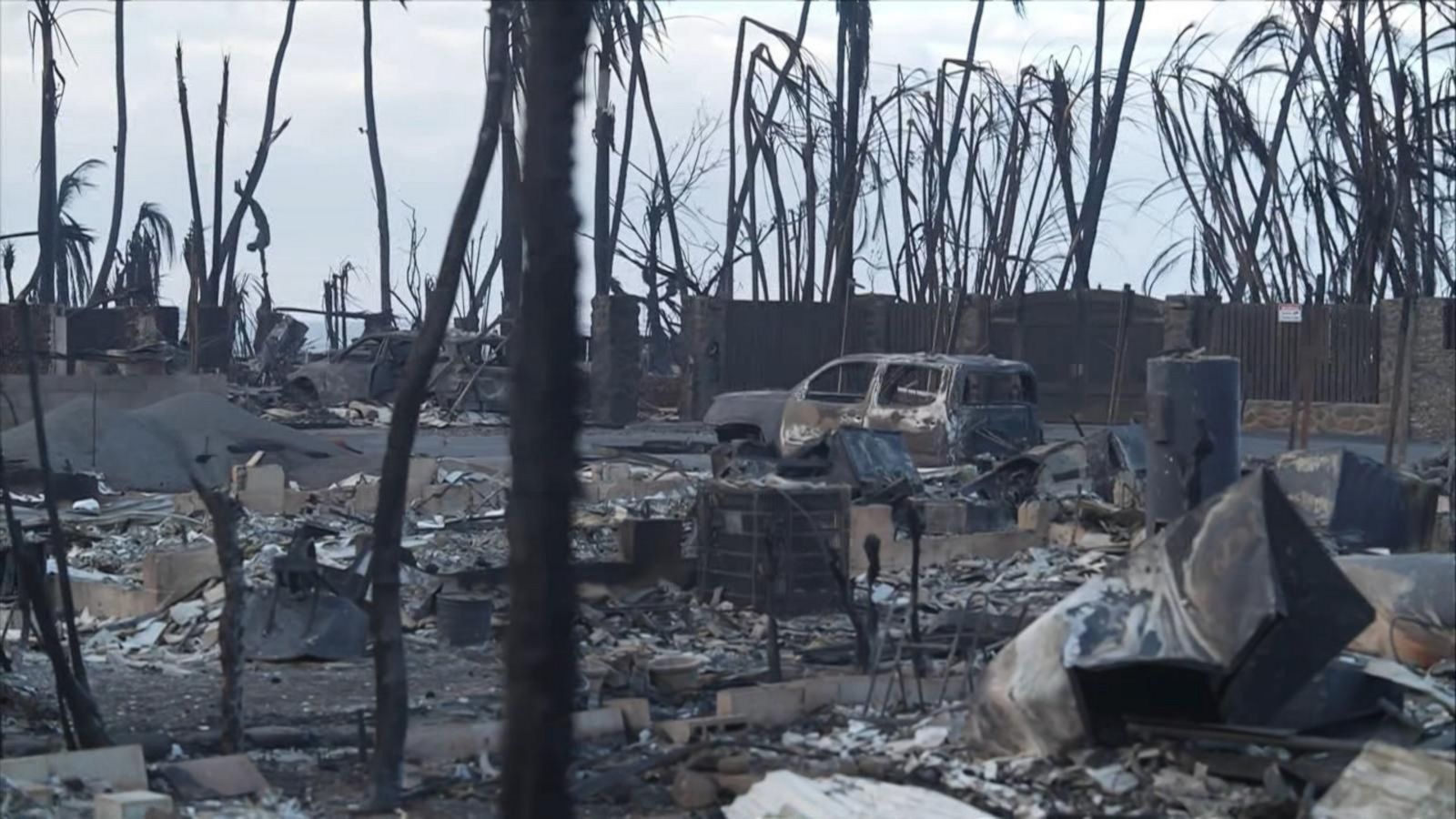 VIDEO: Urgent search for survivors of Maui wildfires