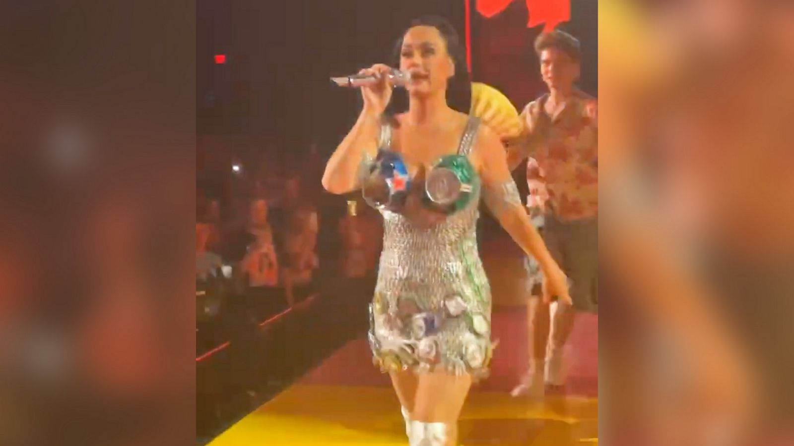 VIDEO: Katy Perry fan dances with her onstage and steals the show