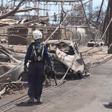 VIDEO: Massive cleanup and recovery effort in Maui