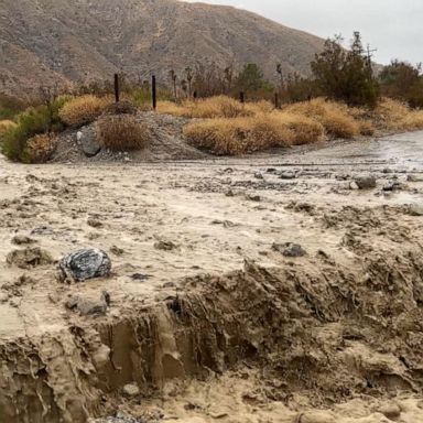 VIDEO: Tropical Storm Hilary makes landfall in California