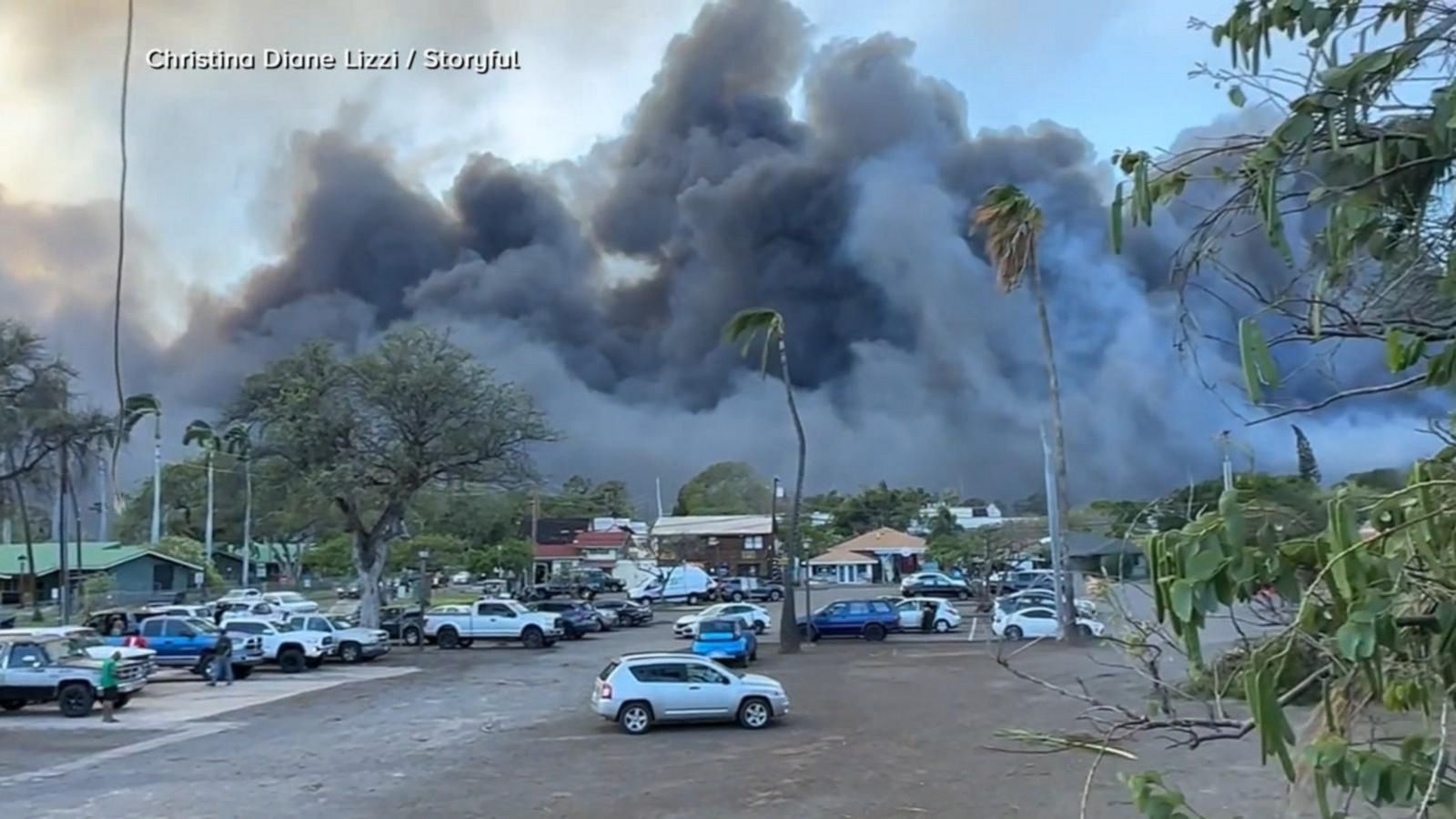 VIDEO: Maui county sues Hawaiian Electric over deadly wildfire disaster