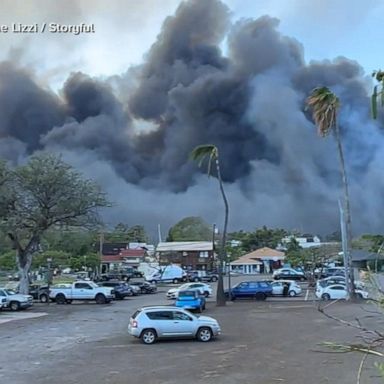 VIDEO: Maui county sues Hawaiian Electric over deadly wildfire disaster