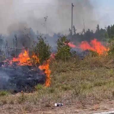 VIDEO: Mandatory evacuations as dangerous wildfires spread across Louisiana