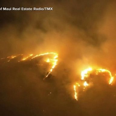 VIDEO: Investigation into cause of Maui wildfire intensifies