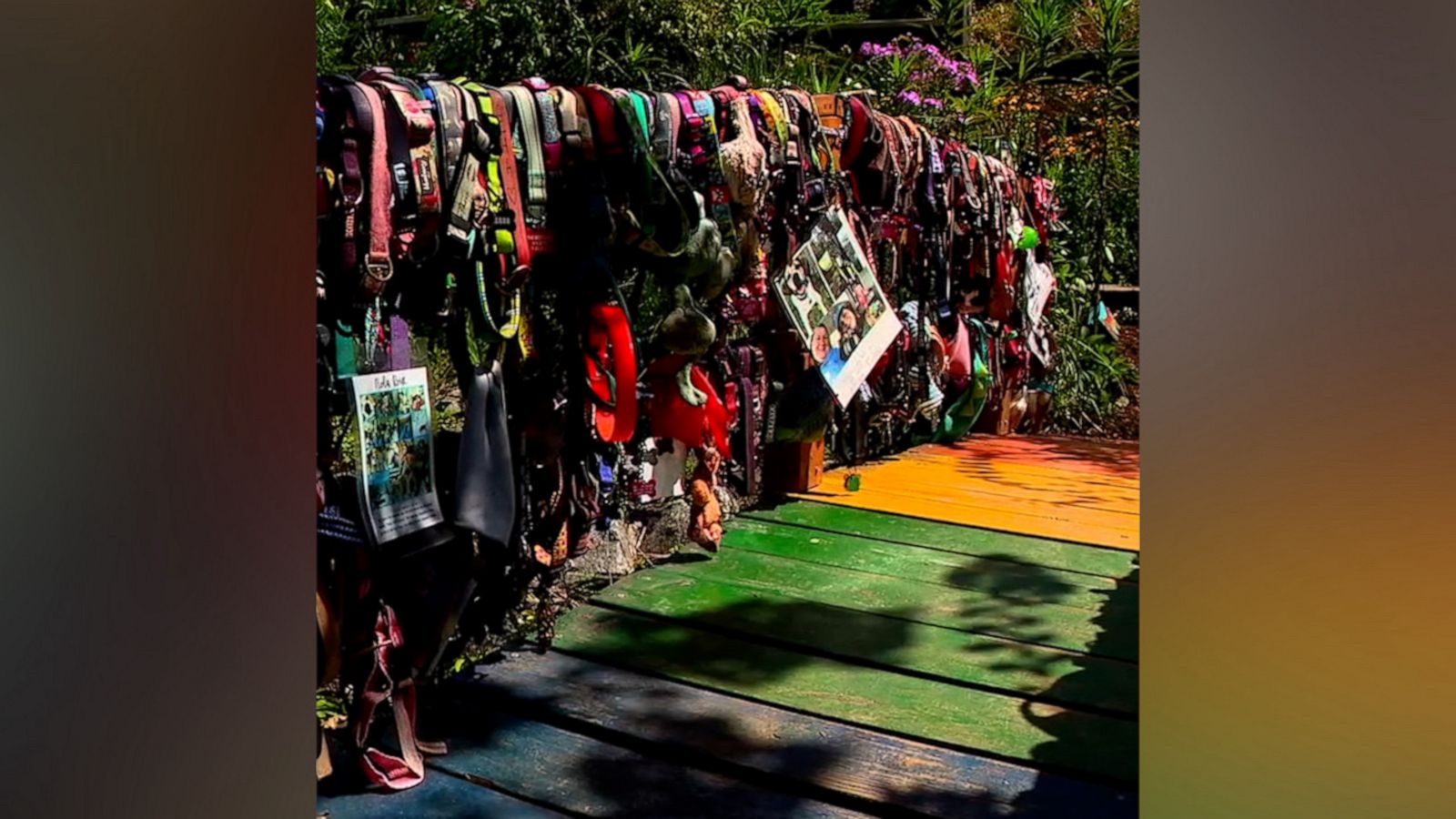 VIDEO: Rainbow bridge honors pets who have died