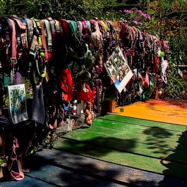 VIDEO: Rainbow bridge honors pets who have died