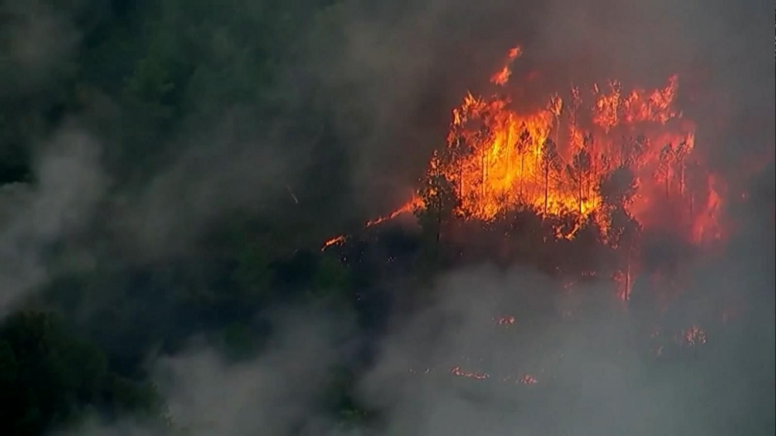 VIDEO: Wildfires rage out of control in Texas