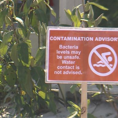 VIDEO: Holiday beach advisory issued over of potential bacterial contamination in water