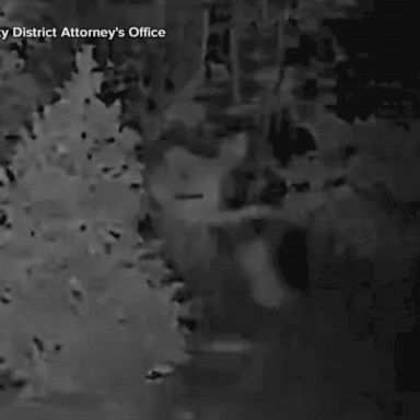 VIDEO: Surveillance video shows prison escape