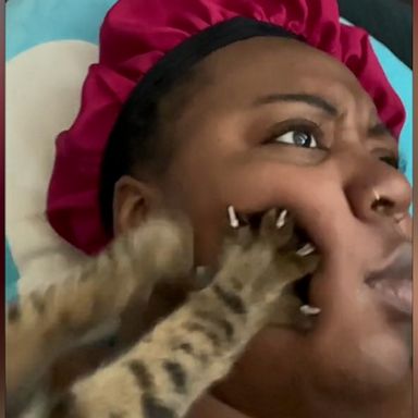 VIDEO: Clingy kitty shows affection by constantly kneading mom’s face 