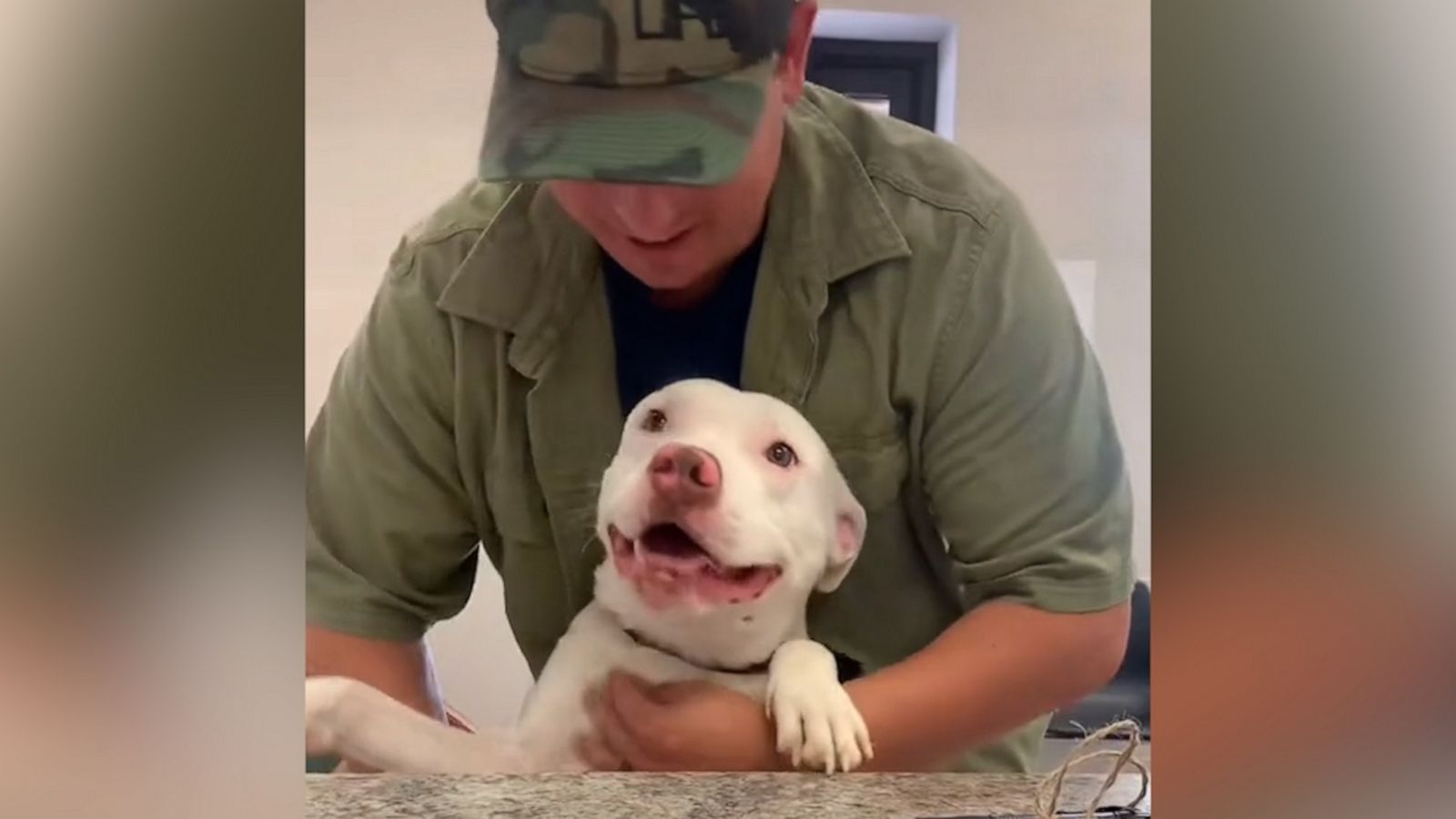 VIDEO: Sweet shelter dogs say goodbye to front desk staff after they’re adopted