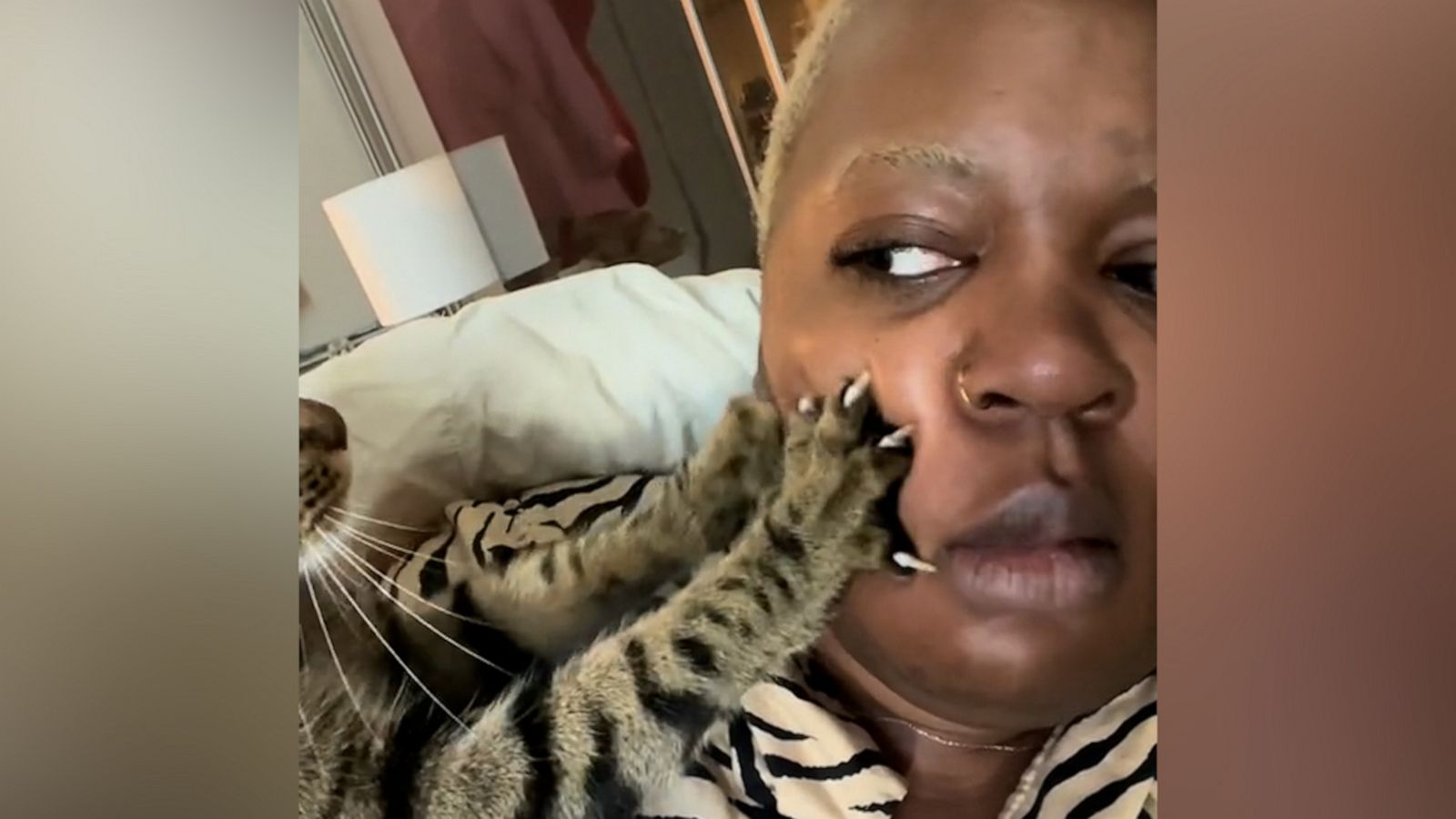 VIDEO: Cat has no sense of personal space, insists on kneading mom’s face