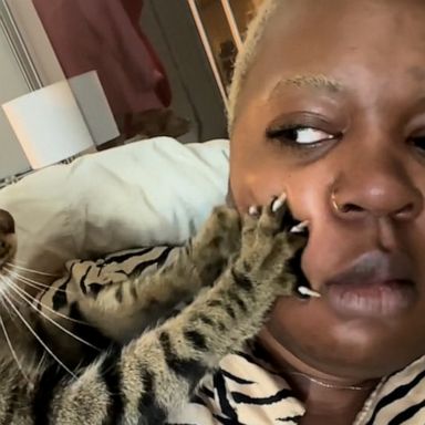 VIDEO: Cat has no sense of personal space, insists on kneading mom’s face