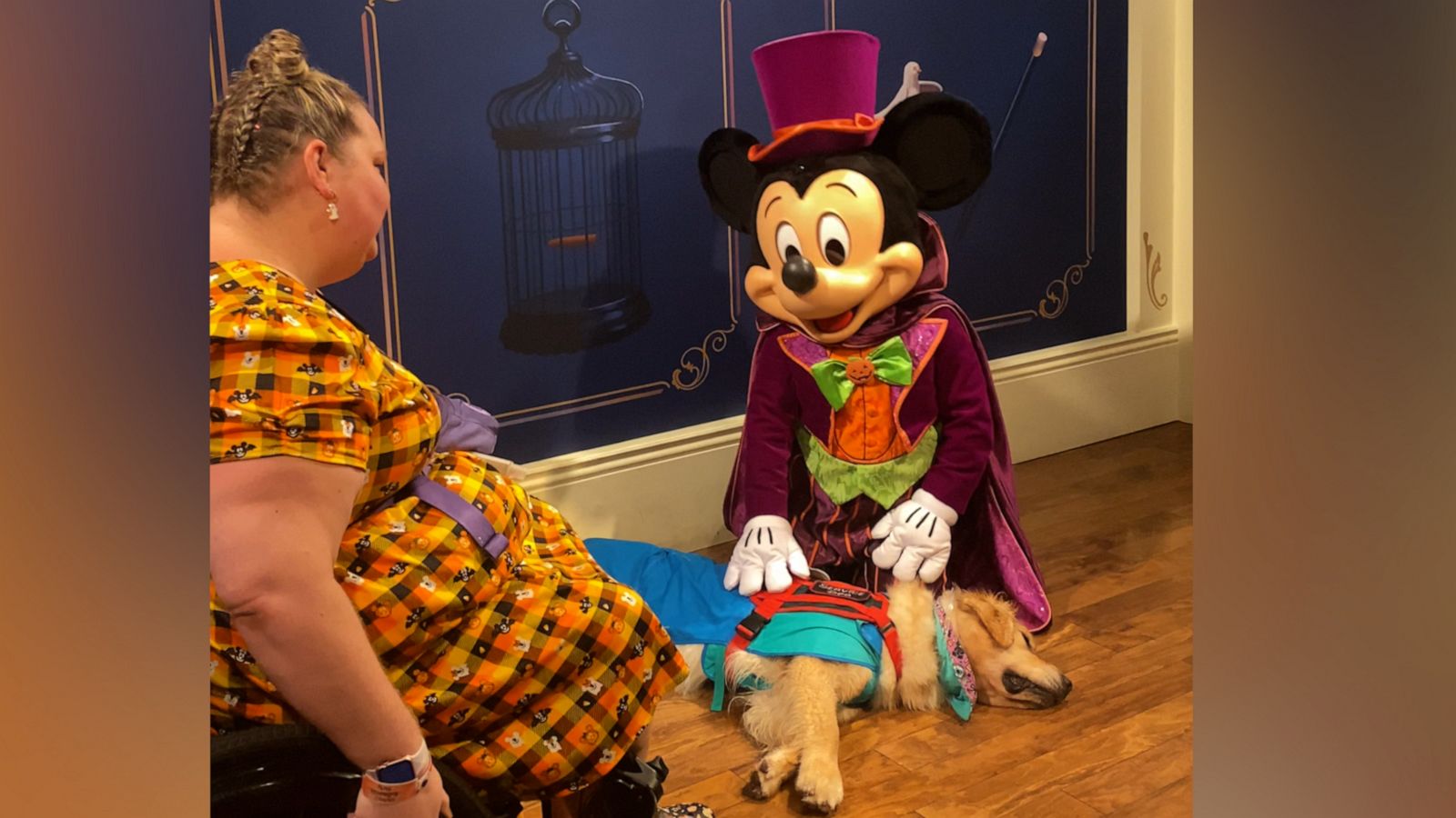 VIDEO: Service dog falls asleep while meeting Mickey Mouse