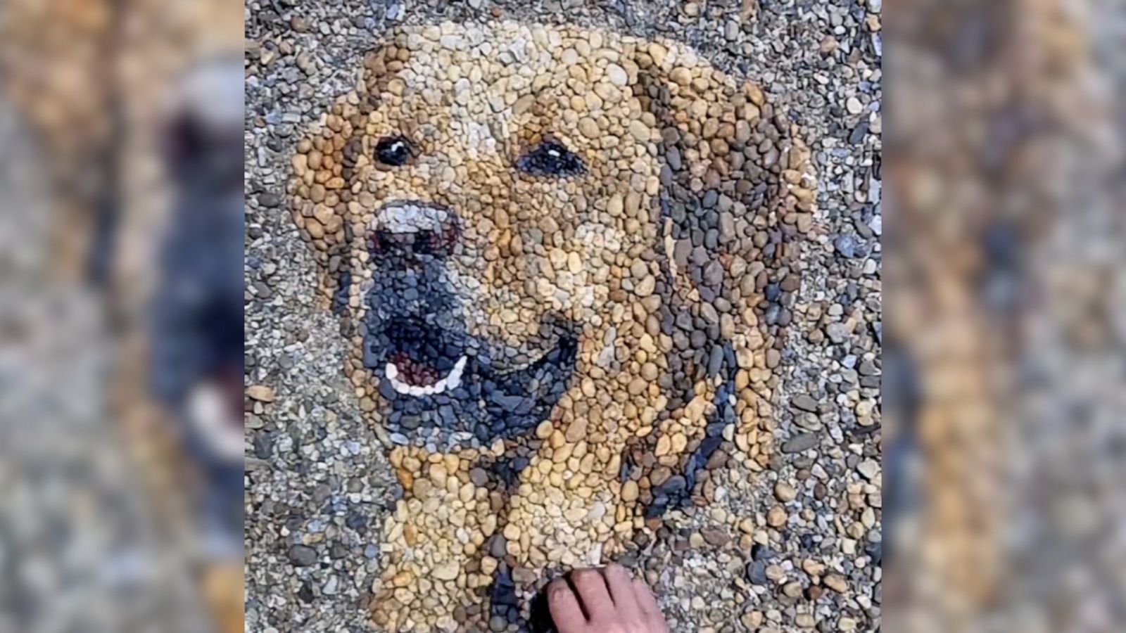 VIDEO: Artist creates stunning portraits made entirely of pebbles