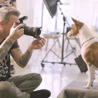 VIDEO: Behind the scenes of an adorable doggy photo shoot