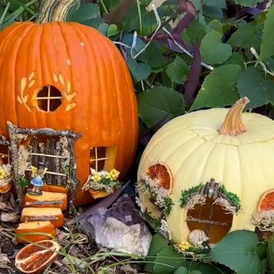 VIDEO: Artist transforms pumpkins into magical fairy houses