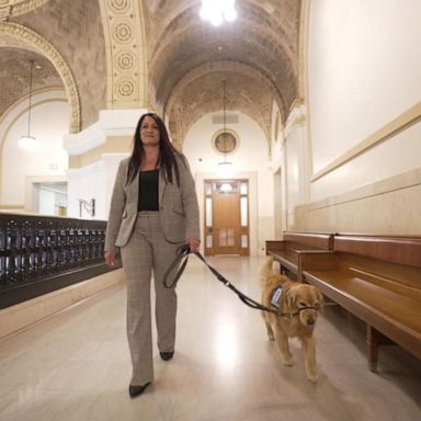 VIDEO: Minnesota court rooms using dogs to help victims on witness stand