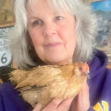 VIDEO: A day in the life of Peanut, the world’s oldest chicken