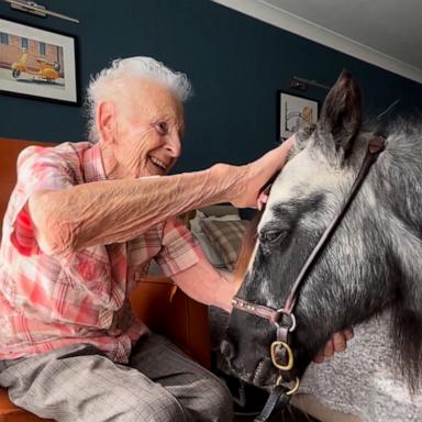 VIDEO: Watch how this special therapy pony brings joy to elderly people’s bedsides