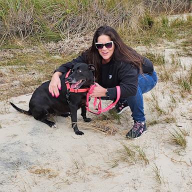 VIDEO: After 1,007 days in the shelter, dog finds her forever home 