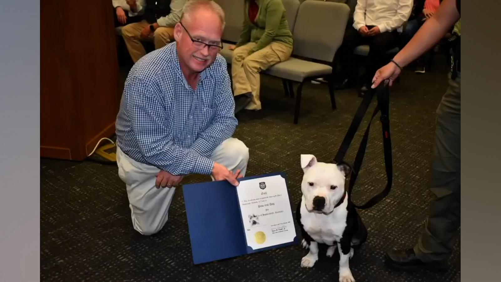 VIDEO: Rescue dog becomes 'paw-trol officer' after Kentucky police department adopts him